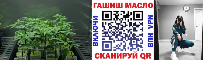 ТГК THC oil  Сертолово 